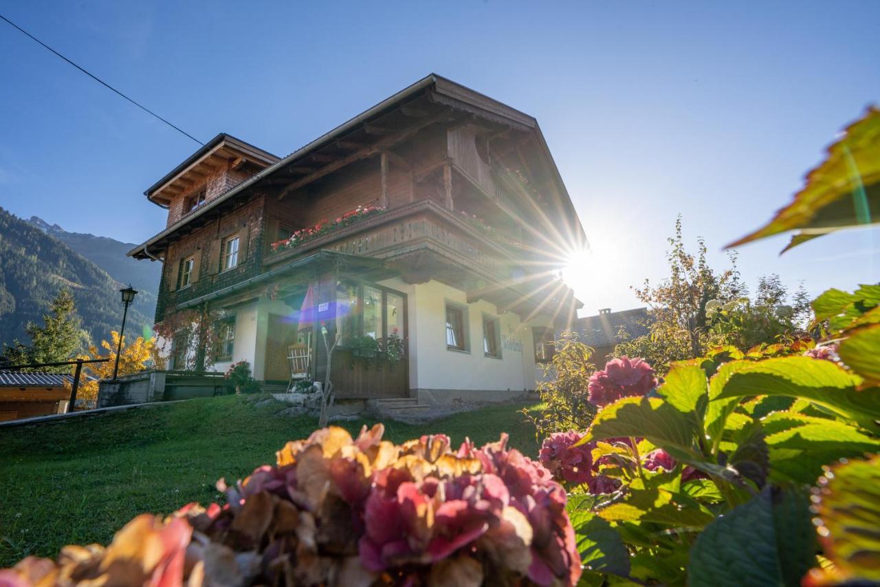 Gaestehaus Waldruh Brandberg Bagian luar foto